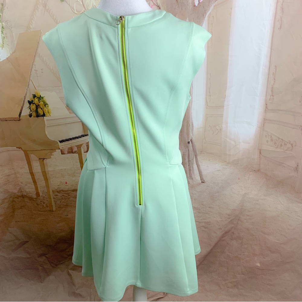 Ted Baker NISTEE SIDE PLEAT WOMEN'S SKATER DRESS PALE GREEN - Picture 8 of 12